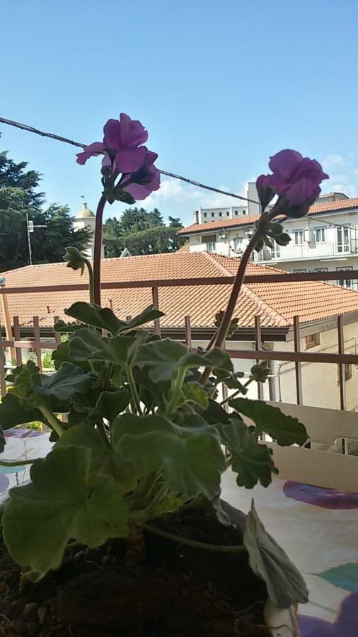 Casa Vacanza Xenìa Agerola Exterior foto